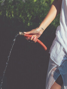 4f8099_884b0533c8f84a65bdd6b4f2f0b879e6~mv2.jpg