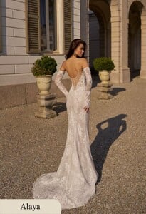 Alaya2-700x1024.jpg