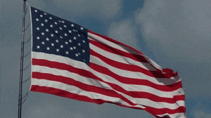 image.gif