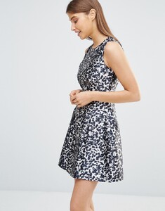 6951232-1-leopard.jpg