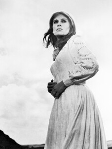 91.jpg