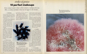 best_beauty_02_03.thumb.jpg.45a8de2f8ead525d9d9795ea5e32407c.jpg