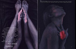fuchsia_shock_01_02.thumb.jpg.0aa3e0c3ecb8bf2a6e70a47755004eb0.jpg