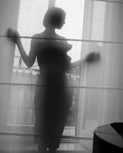 511182943_lily-12.jpg
