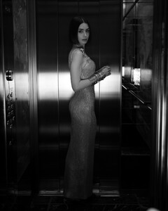 511900177_lily4-4.jpg