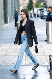 513008740_lily-4.jpg