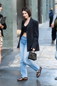 513116667_lily3-4.jpg
