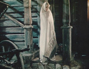 82.jpg