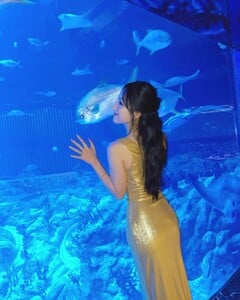 hedy_hoiyi_460792763_526254853679314_7412694480485552670_n.jpg