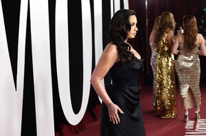 520748482_demi2-3.jpg