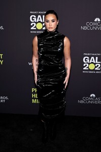 521348210_demi-1.jpg