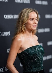 523193806_brie-6.jpg