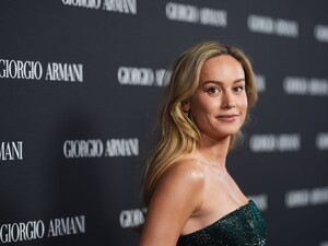 523193835_brie-15.jpg