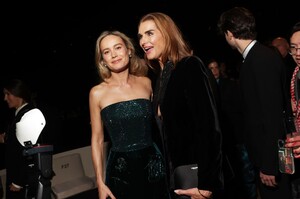 523202699_brie4-1.jpg