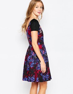 5816920-2.jpg