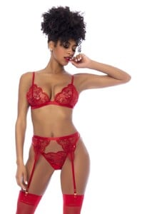 Mapale_8893_Red_1_7b9bb63d-0901-4b3f-993e-c17930d5bc41.thumb.jpg.85b778bf7abd1987c271669bffc62c87.jpg