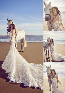 TAHLIASI_568_811_int_s_c1_c_c_0_0.png