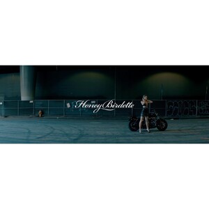 anthonyjmangini_365930359_1517838678753775_2497125043793661323_n.jpg