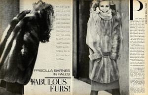 falls_fabulous_01_02.thumb.jpg.7eadeab3b9f1ec7f5fee7427f5a8c3d2.jpg