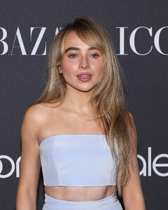 hbxbloom150-carpet_006.jpg