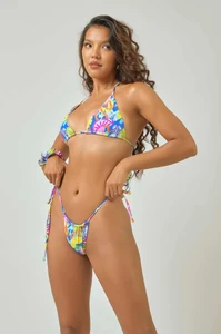 img05527_1200w.webp