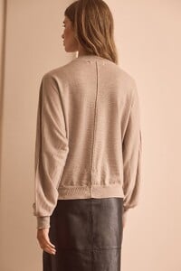 n21380s3.jpg