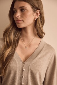 n21380s4.jpg