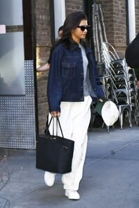 zendaya-out-with-her-brother-austin-and-dog-midnight-in-new-york-10-26-2024-0.jpg