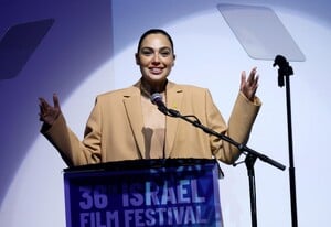533150566_gal-9.jpg