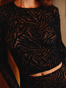 Top_Velvet_Zebra_Photo_1_META_3000x.png