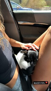 [2024.12.06] scarlett.mayer__lindsaydemyan_469691486_495981573497968_5052653288398393961_n.jpg