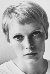 97.jpg