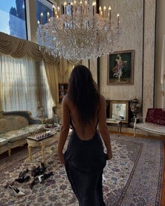 IMG_2639.jpeg