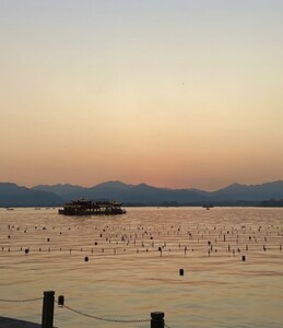IMG_5139.thumb.jpeg.9a90347508d6bcb484ef2df776a7ec5c.jpeg