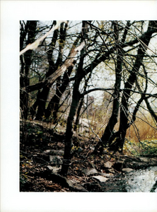 Richardson_Anna_Molinari_Fall_Winter_2001_02_05.thumb.png.485f5ac80ee88fea21ee6ad606d0a38e.png