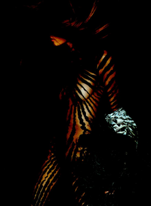 Testino_Roberto_Cavalli_Fall_Winter_2001_02_15.thumb.png.3bba01dce3a6fec3f4a0ff00b7dfd06f.png