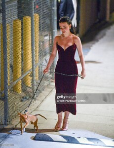 gettyimages-2184133074-2048x2048.jpg