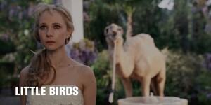 little_birds_1.jpg