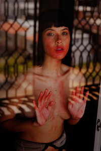 mg_3807-edit.thumb.jpg.870fbbc44c358af3fea66002a67cb819.jpg