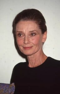 100.jpg