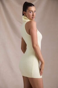 13171-ButterYellow_Daiya_3.jpg