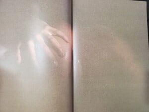 20230817_124121.jpg