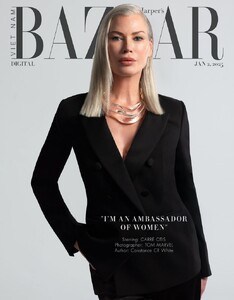 Carre Otis-Bazaar-Vietnan.jpg
