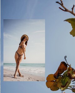 IMG_2236.jpeg