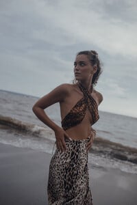 IMG_2379.jpeg
