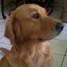 oscar.garcia@unah.hn