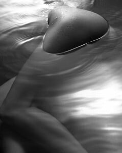 jsphoto_14156319_1141835455851665_674999172_n.jpg