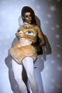 ladymisskiertm911.thumb.jpg.15775906f9870bb496d5f5d6c613f5c5.jpg