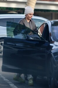 lisa-rinna-and-harry-hamlin-savor-a-leisurely-lunch-in-bel-air-04.01.2025-3.jpg