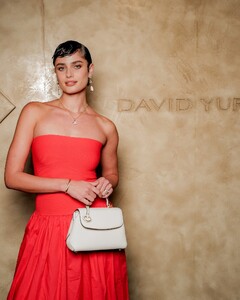 [2025.02.21] taylor_hill_481222536_18492643381024492_8244350951706598867_n.jpg
